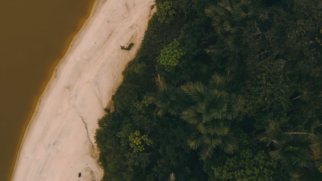 1-new-witemberg-Putumayo