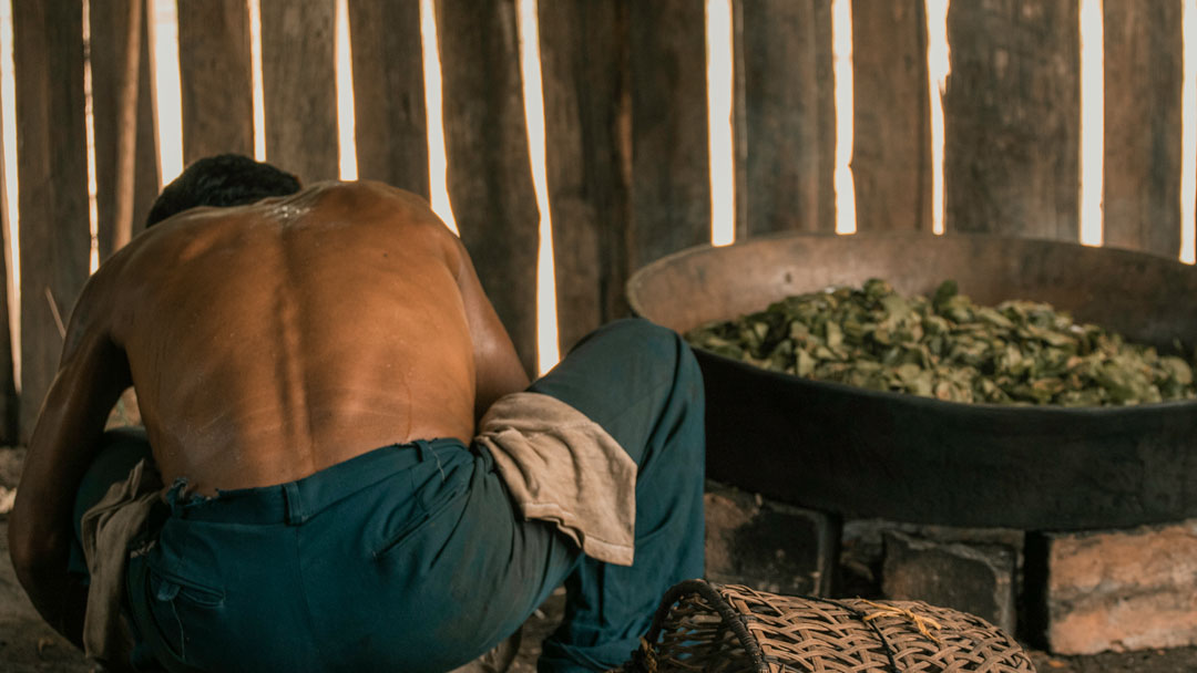 6--julian-maloquero-de-Curare-tostando-coca