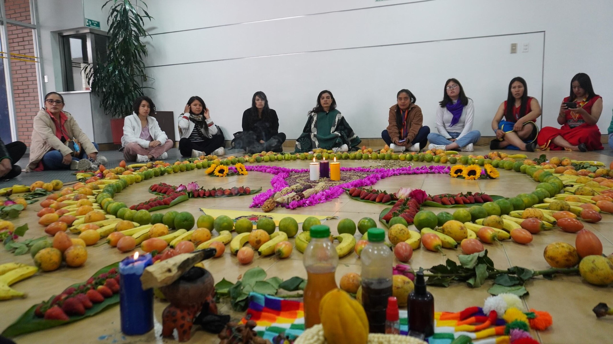 pasantia_comunicacion_28